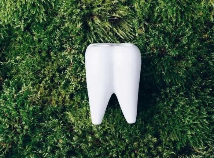 What Is Holistic Dentistry? A Natural Approach to Oral Health